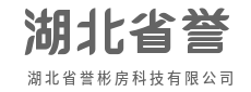 智启未来，让复杂世界一键归简-湖北省誉彬房科技有限公司